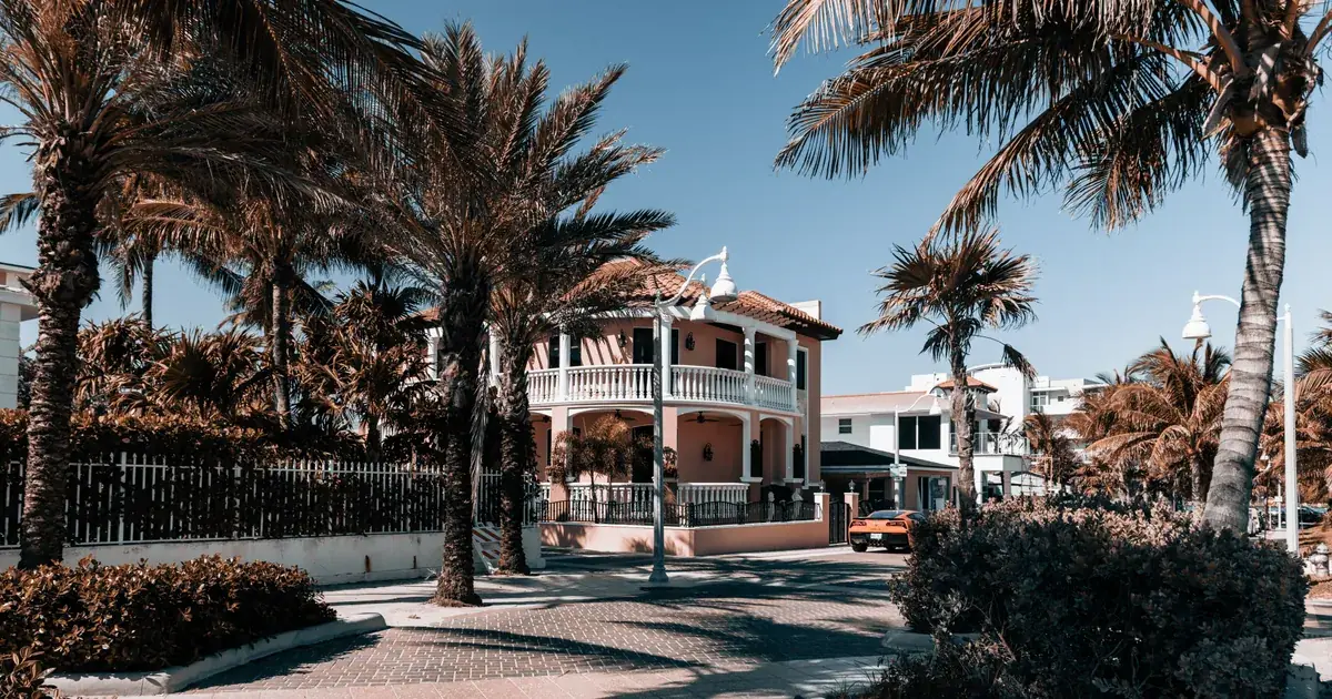 Florida home surrounded by palm trees that needs regular exterior washing